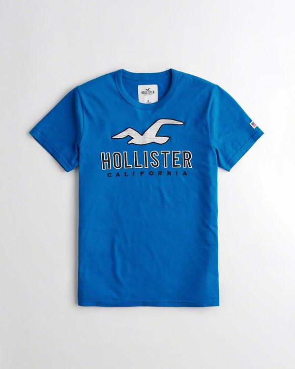 Magliette Hollister Uomo Logo Blu Italia (949WTHMZ)